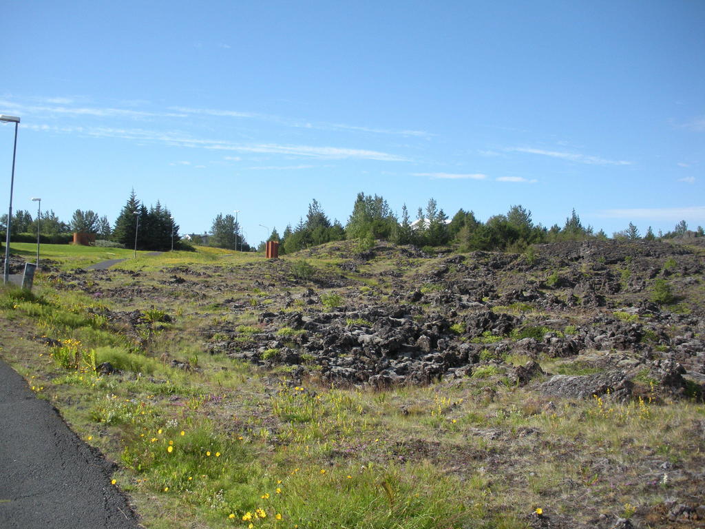Lava Hostel Hafnarfjörður الغرفة الصورة